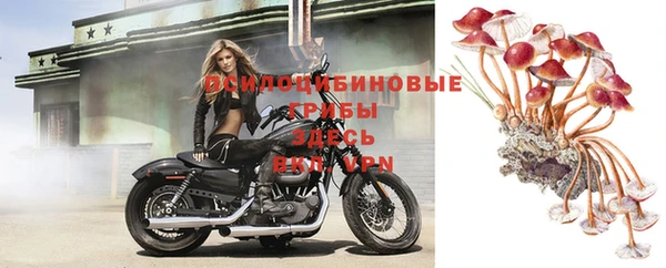 СК Ладушкин